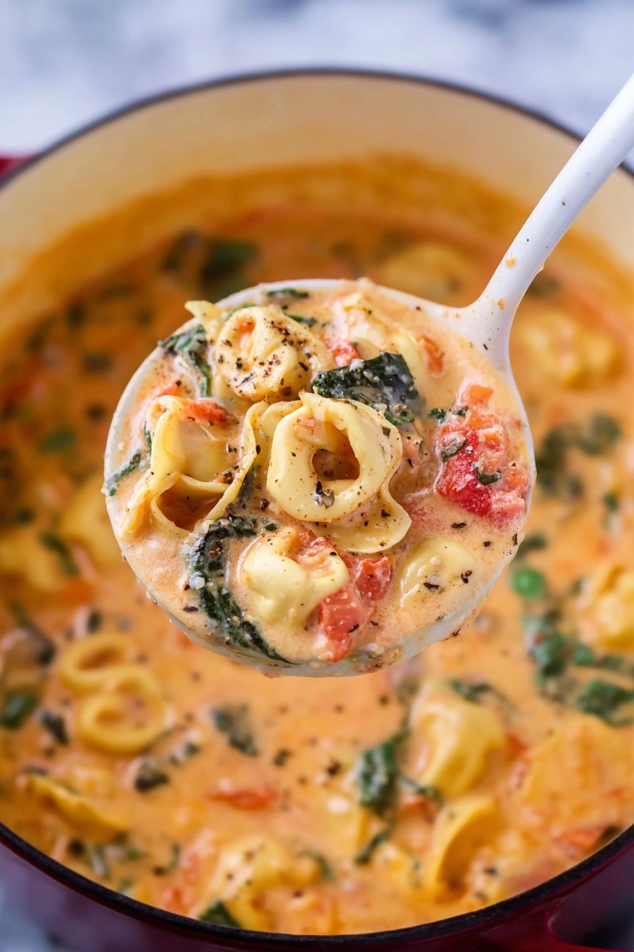 A white ladle holds a serving of creamy pasta soup with three main visible layers: the top layer has light golden tortellini pasta filled with cheese, soft orange carrot slices, and dark green wilted spinach, all coated in a thick, creamy light orange broth with small red tomato pieces. The middle layer shows more of the creamy broth with the same vegetables and pasta, slightly blurred, resting in a white pot rimmed in dark red. The bottom layer is the background with the same creamy soup filling the pot, featuring scattered pasta and vegetables on a white marbled surface. Photo taken with an iphone --ar 2:3 --v 7